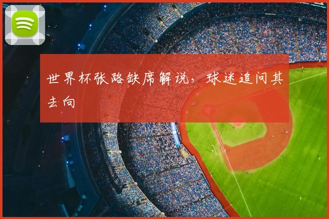 世界杯张路缺席解说,球迷追问其去向