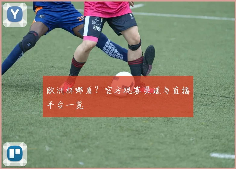 欧洲杯哪看？官方观赛渠道与直播平台一览