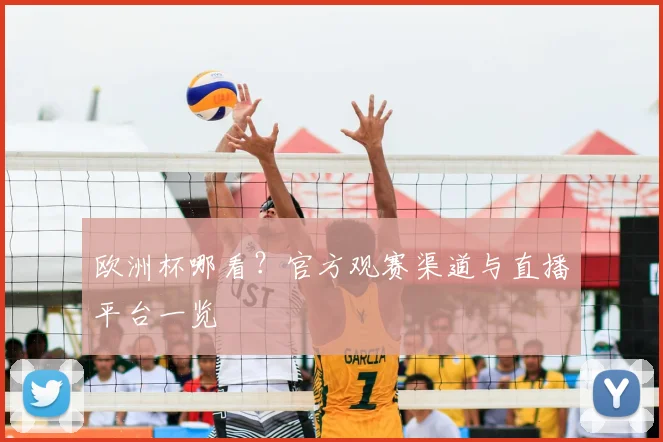欧洲杯哪看?官方观赛渠道与直播平台一览