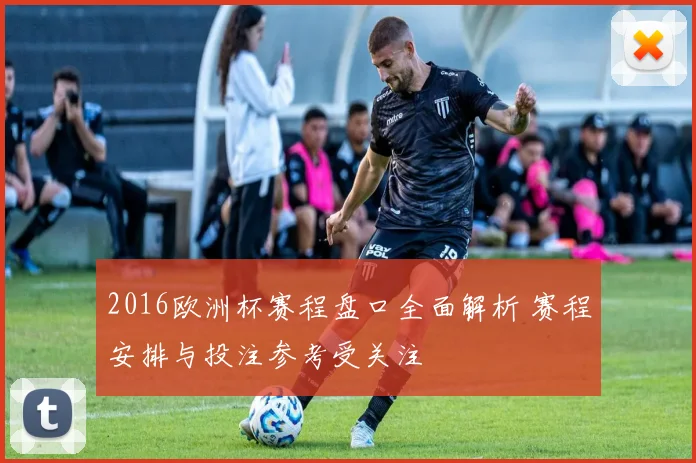 2016欧洲杯赛程盘口全面解析 赛程安排与投注参考受关注