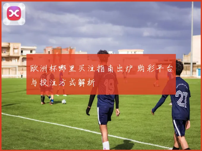 欧洲杯哪里买注指南出炉 购彩平台与投注方式解析
