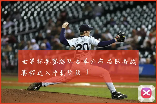 世界杯参赛球队名单公布 各队备战赛程进入冲刺阶段_1